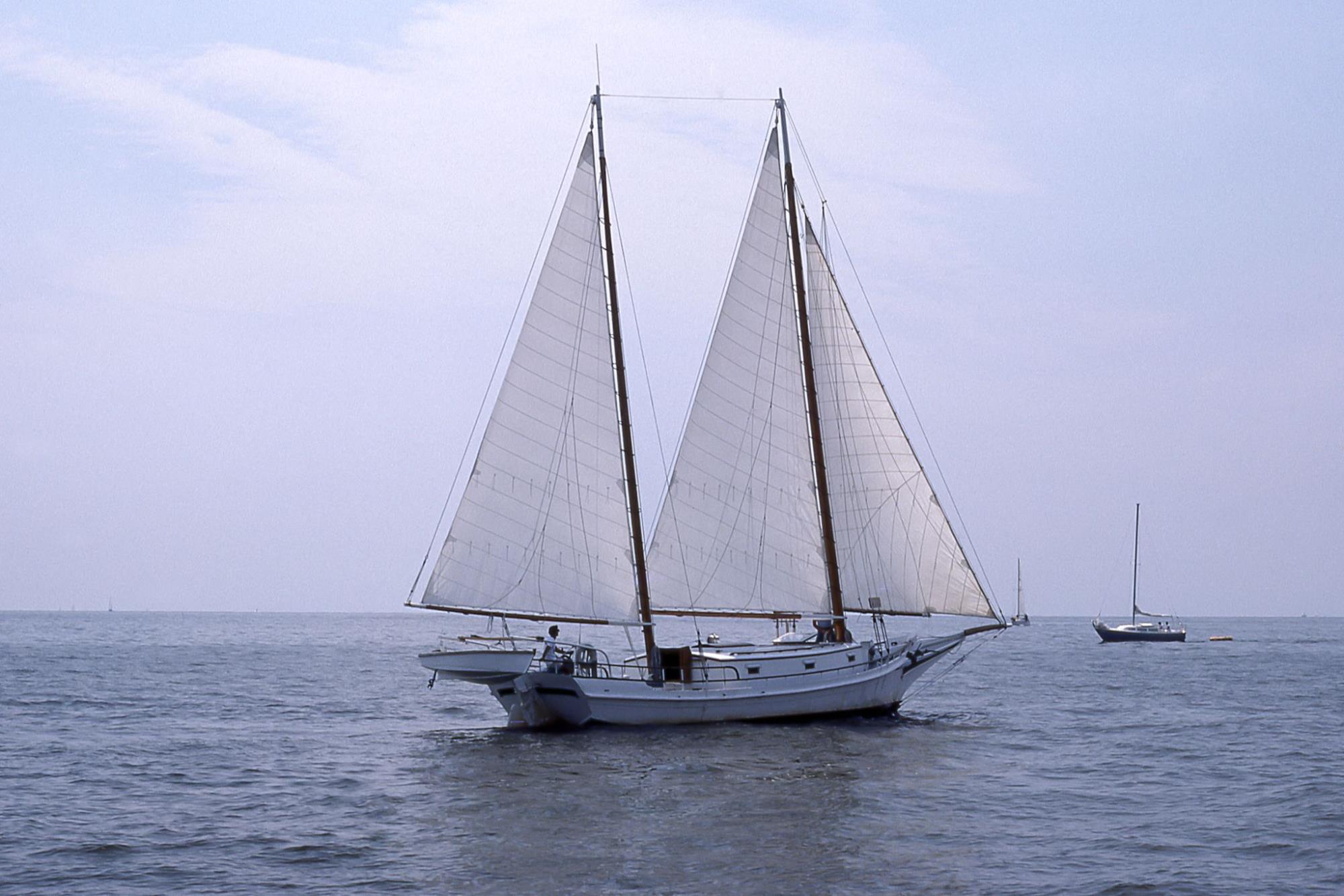 CBMM catalog image